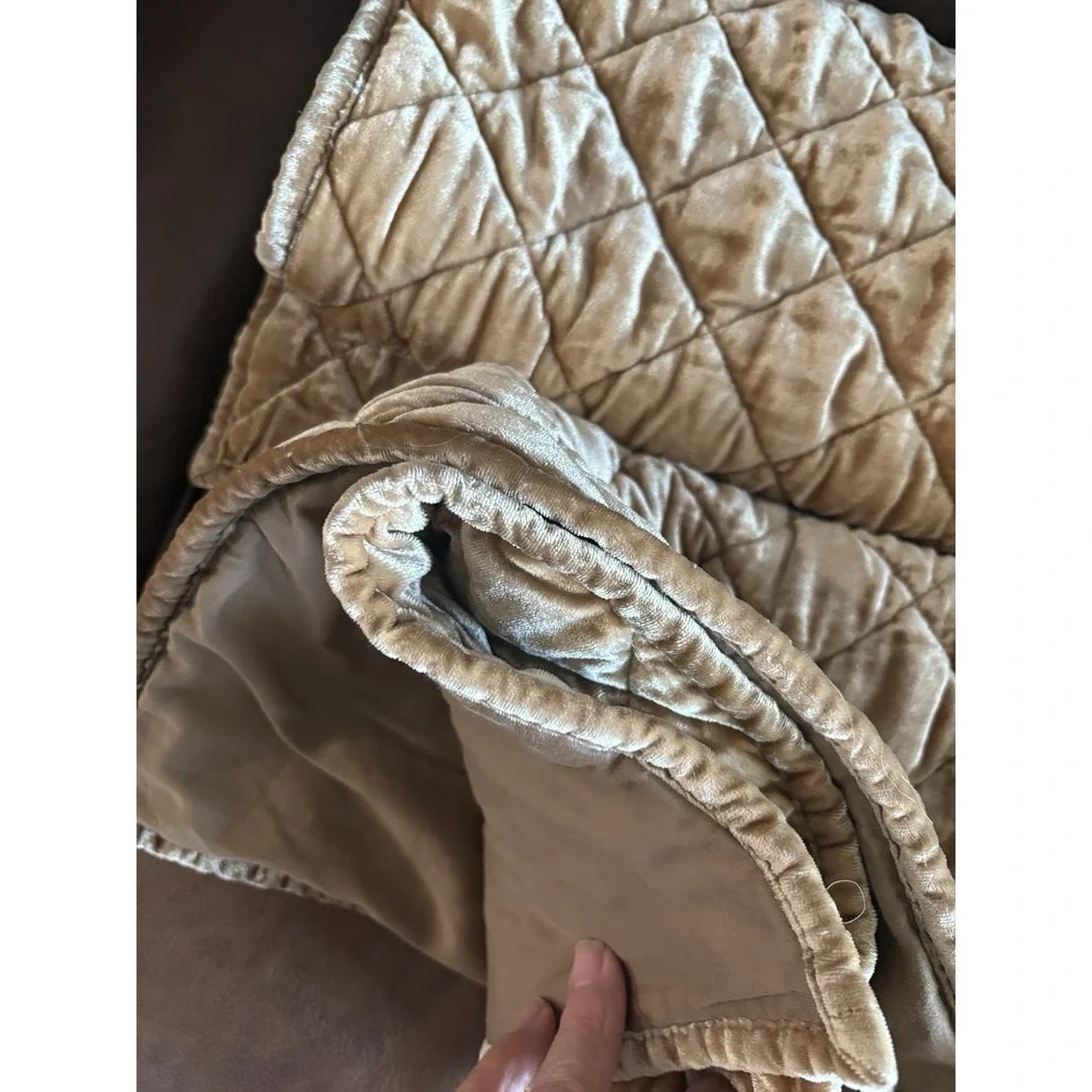 2 Pottery Barn Golden Brown Viscose Velvet King Pillow Shams